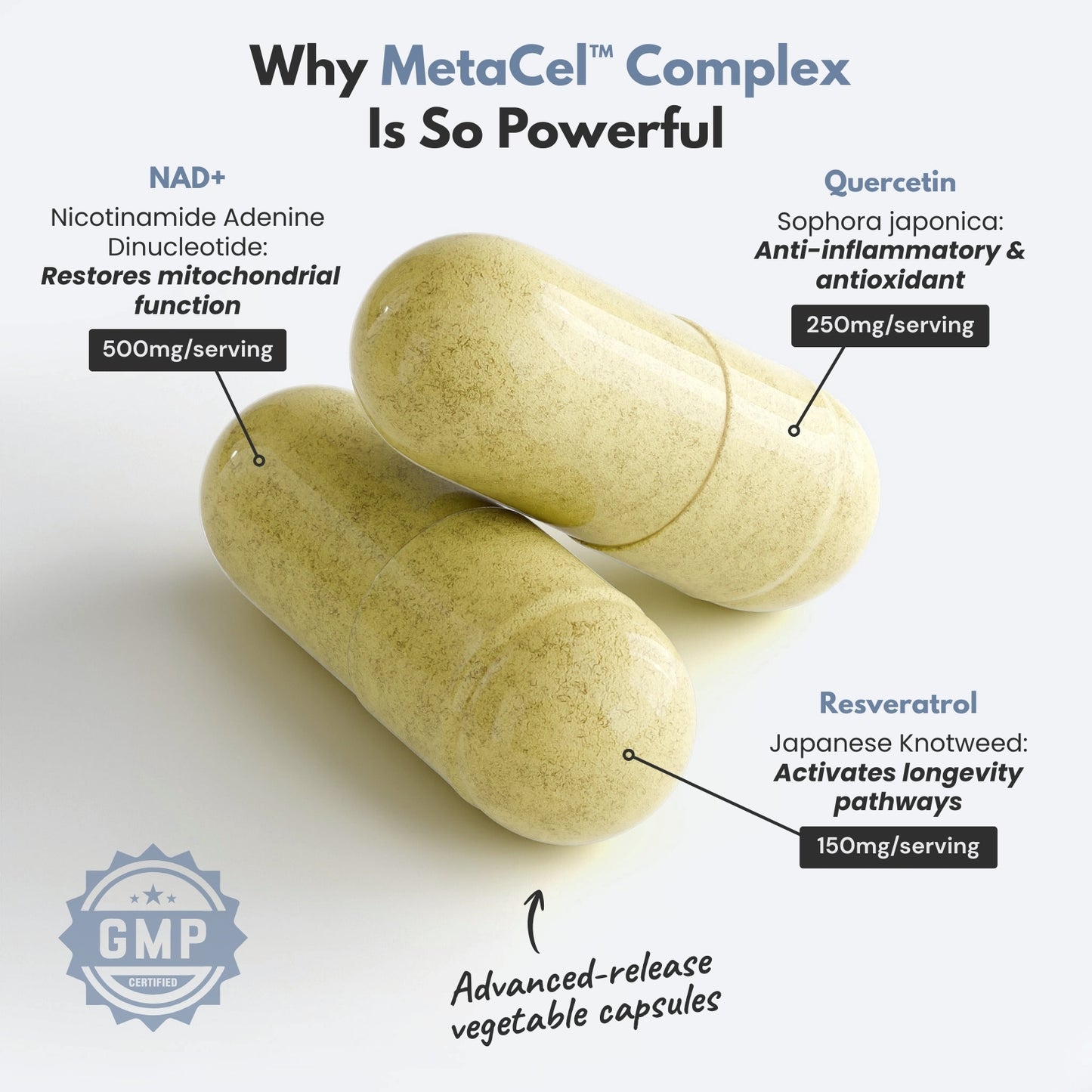 MetaCel™ Complex | Cellular Longevity & Natural Energy Without Stimulants | NAD+